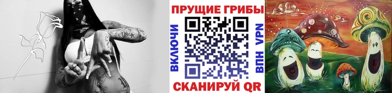 Псилоцибиновые грибы Cubensis  блэк спрут рабочий сайт  Приморск 